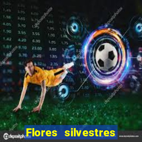 Flores silvestres brasileiras brasileiras flores silvestres nomes e imagens